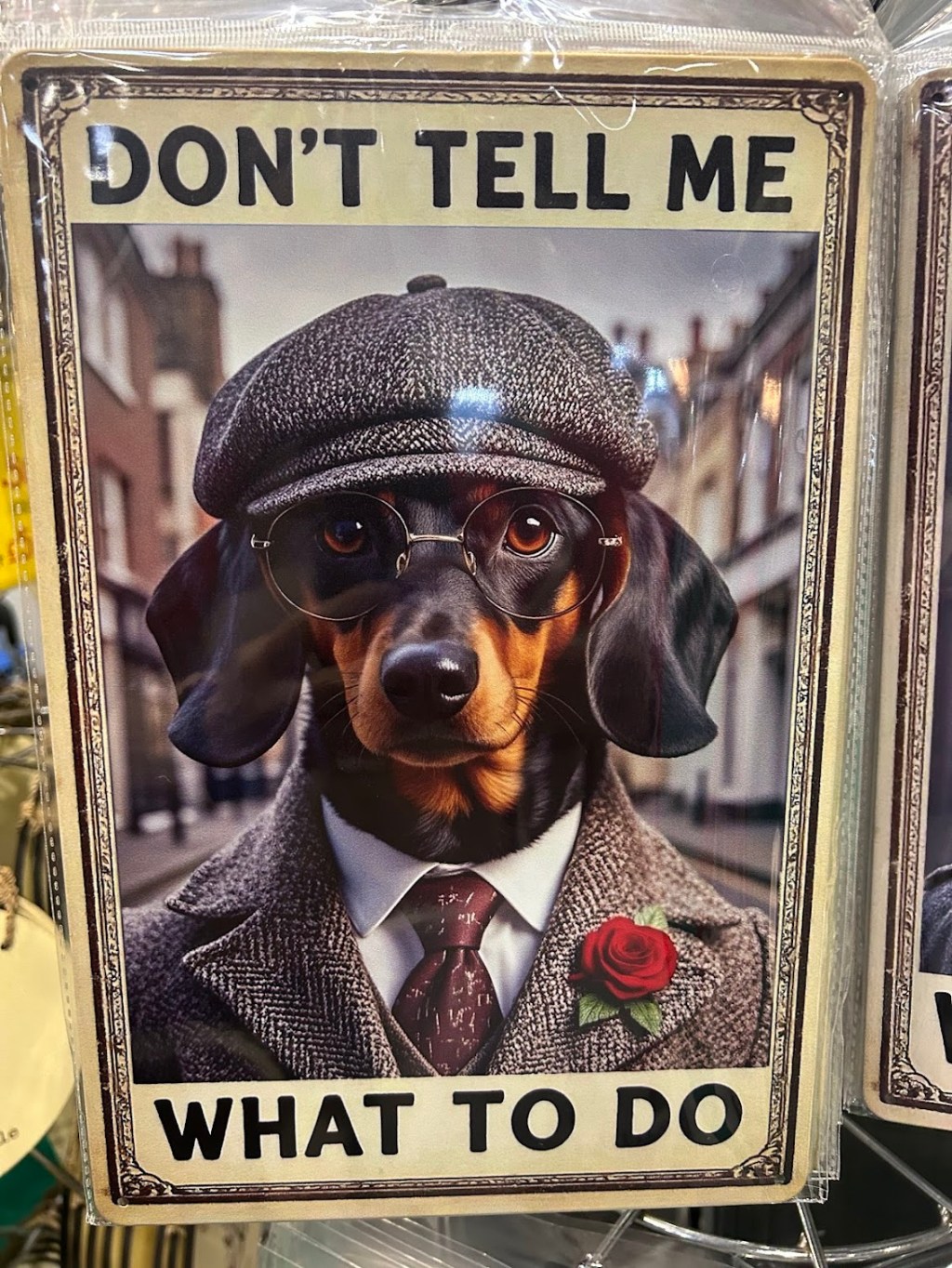 Reason 5 of 10: The Sausage Dog Who Brought Me&nbsp;Back