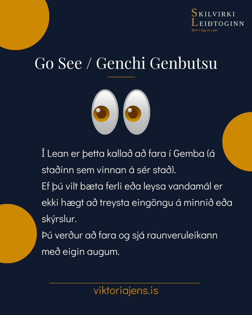 Graphic with the text 'Go See / Genchi Genbutsu' and two cartoon eyes, discussing the importance of firsthand observation in Lean methodology.