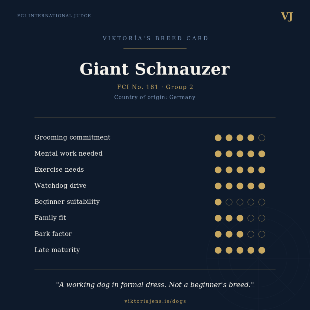 A breed card for the Giant Schnauzer, detailing grooming commitment, mental work needs, exercise needs, watchdog drive, beginner suitability, family fit, bark factor, and late maturity with a rating scale.