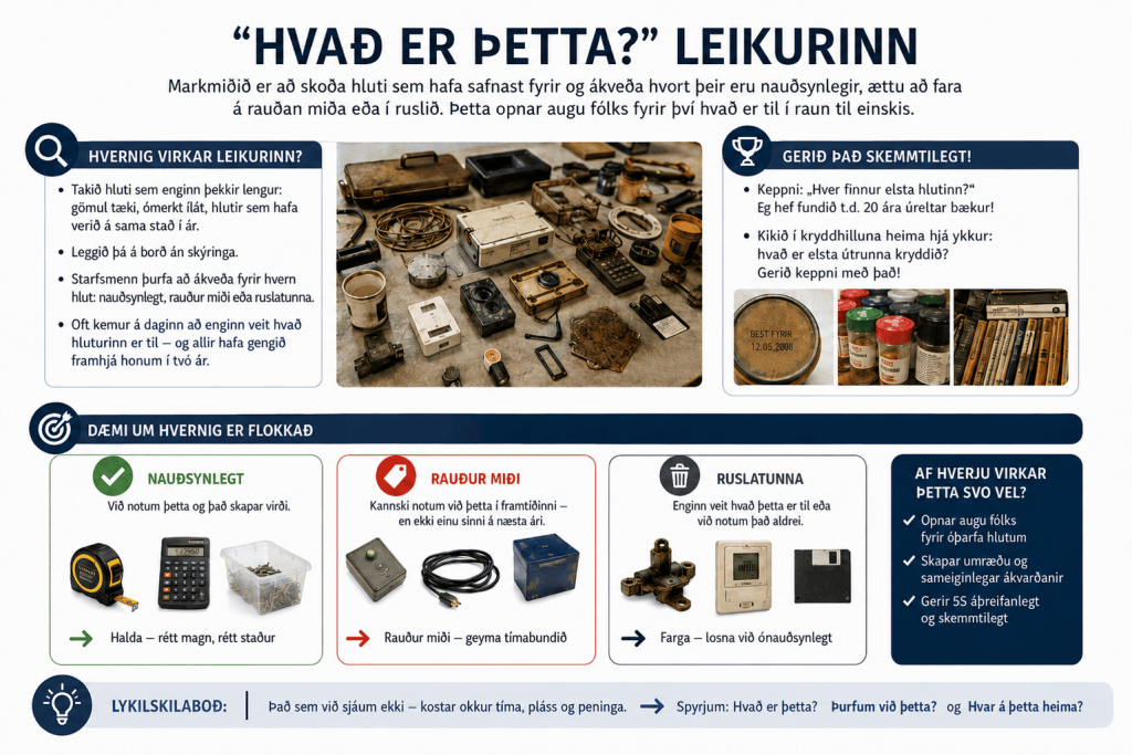 A graphic describing the game 'Hvað er þetta?' which focuses on identifying items and determining whether they are necessary or junk. It includes instructions on gameplay, examples of categorized items, and engagement prompts for players.
